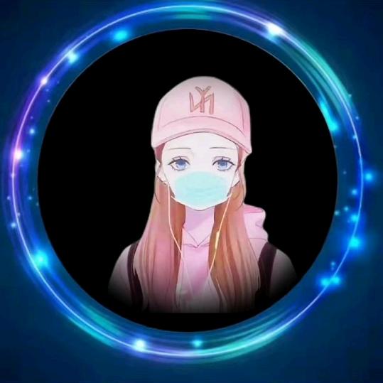 琴