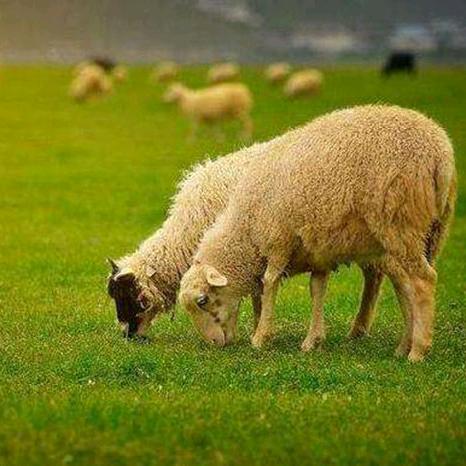 辛氏木源坊家具