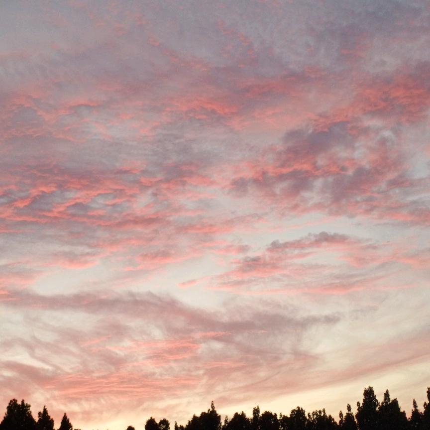 幻紫幽蓝(洋&勋)