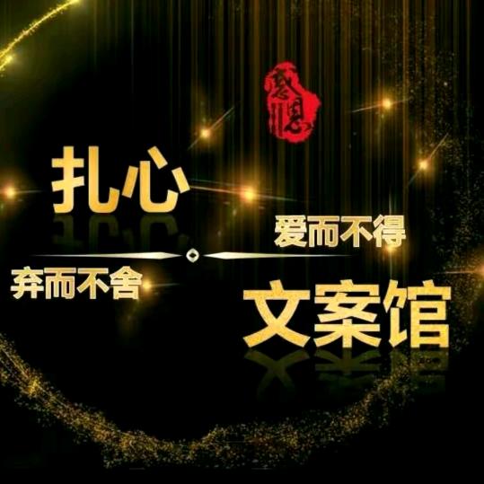 情感…文哥
