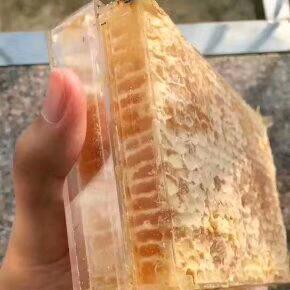 振和蜂场