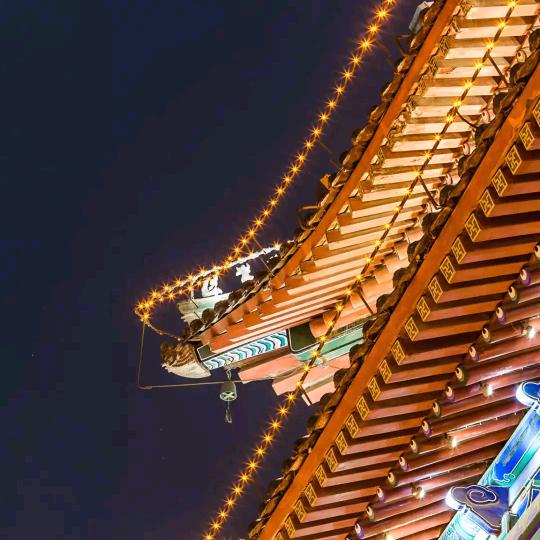 菩提树【刘道士】