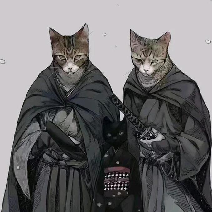 罗罗诺亚·索隆