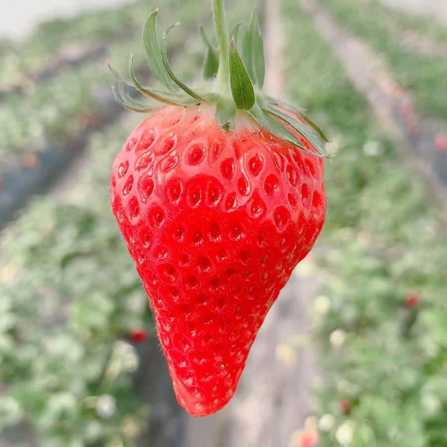 🌾让💝归🍹0🍁