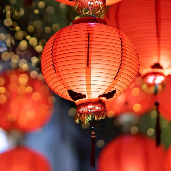 肥墩墩和招财