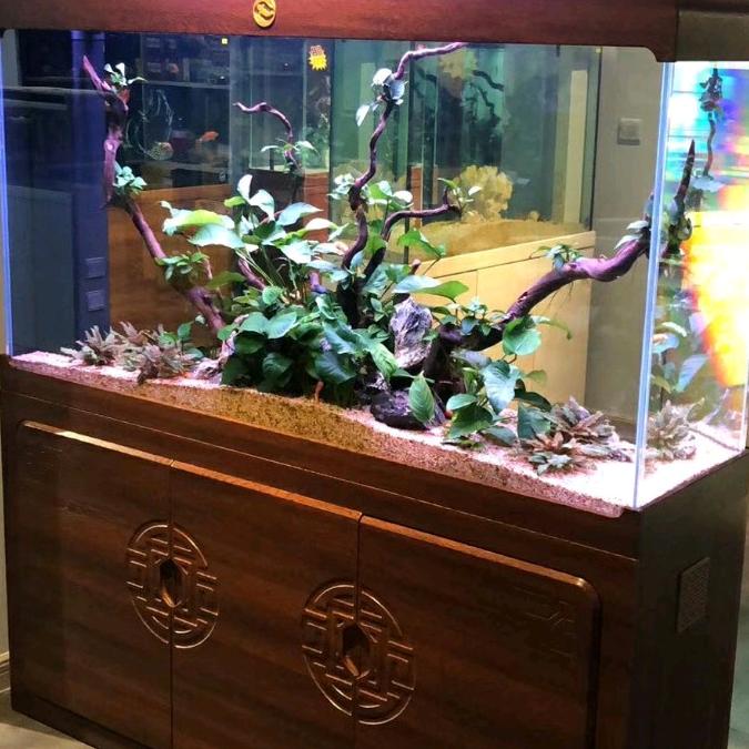 苏州苏皖水族用品有限公司