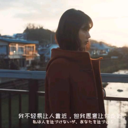 繁花自现。❤️