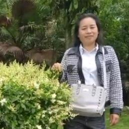春暖花开🌷🌹🌹