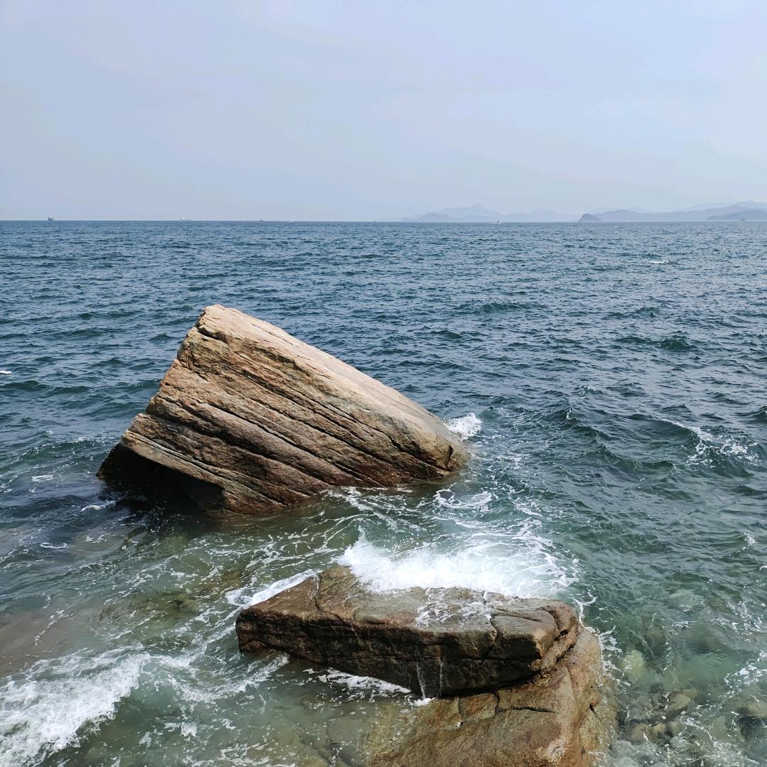 鬼枫