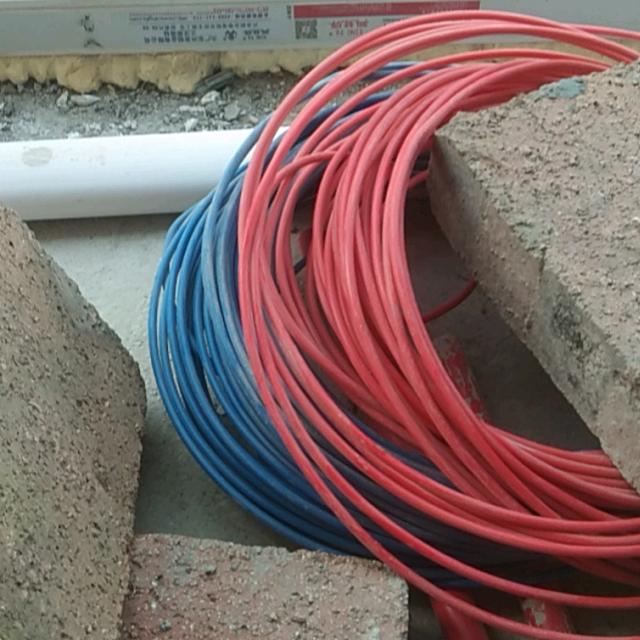 百善孝为先🙏风哥