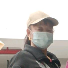夏金凤