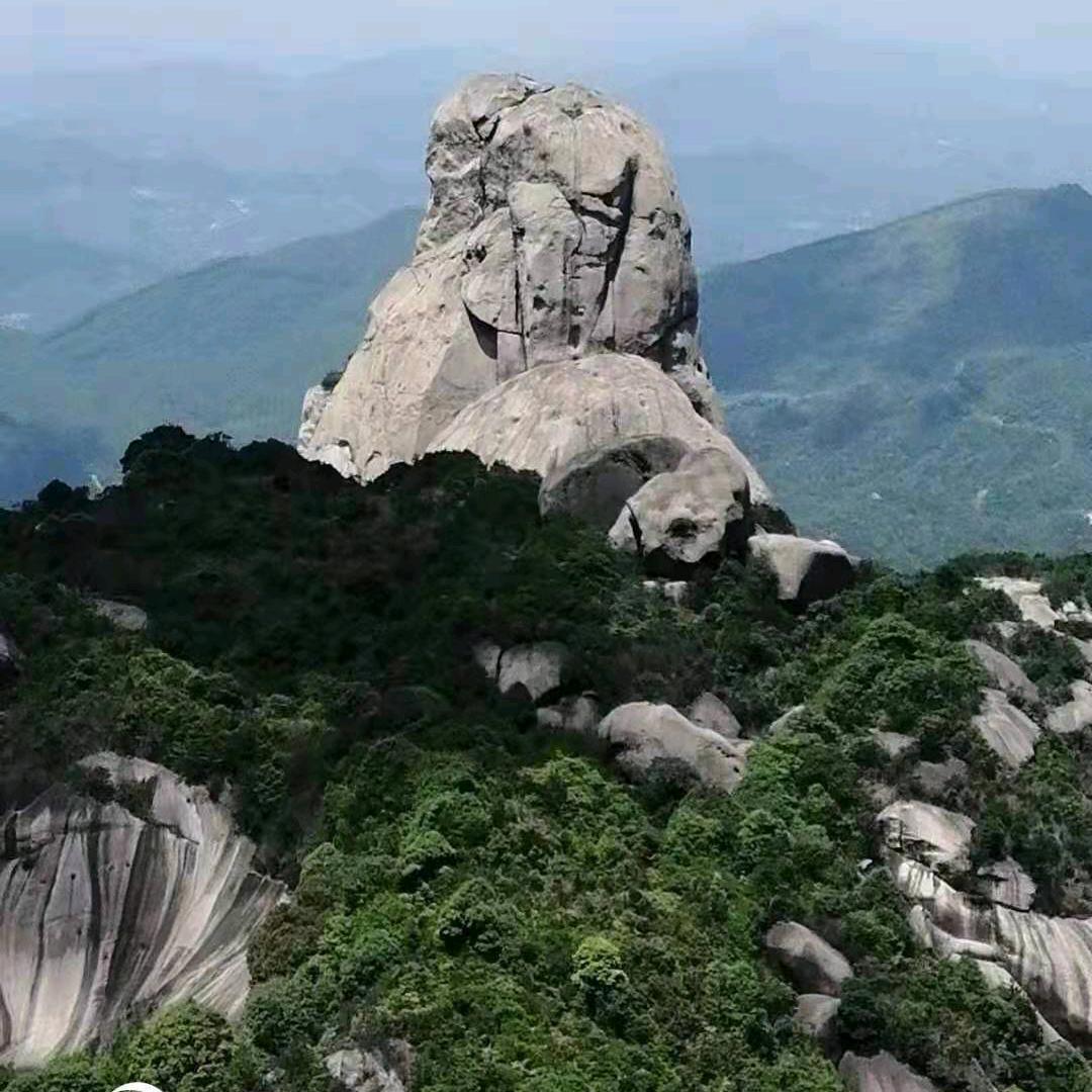 花无缺，栀子花，