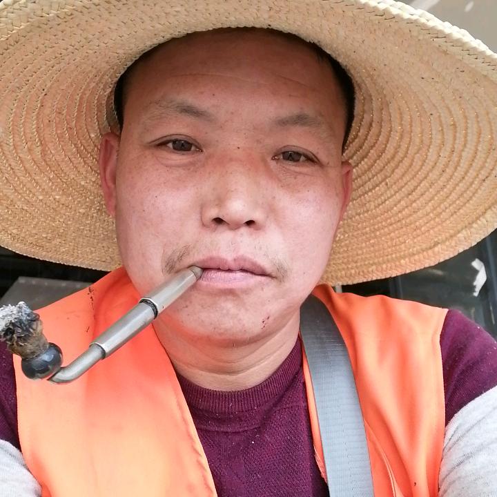 逗起闹
