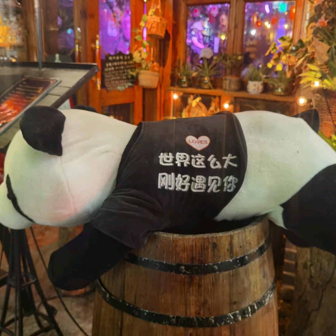 源随心动