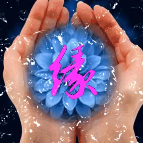 缘分心陈