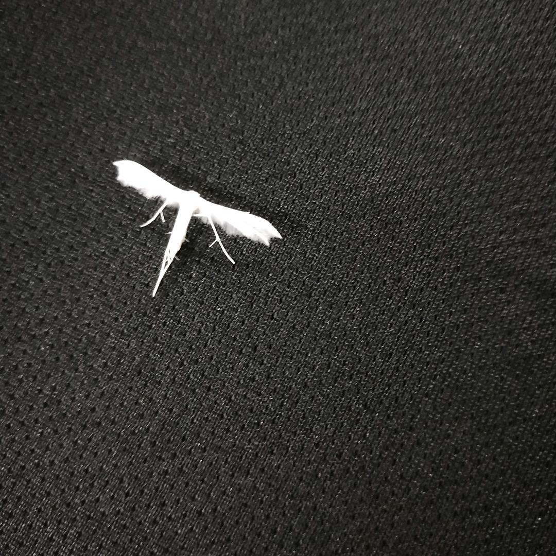 殷先森^_^
