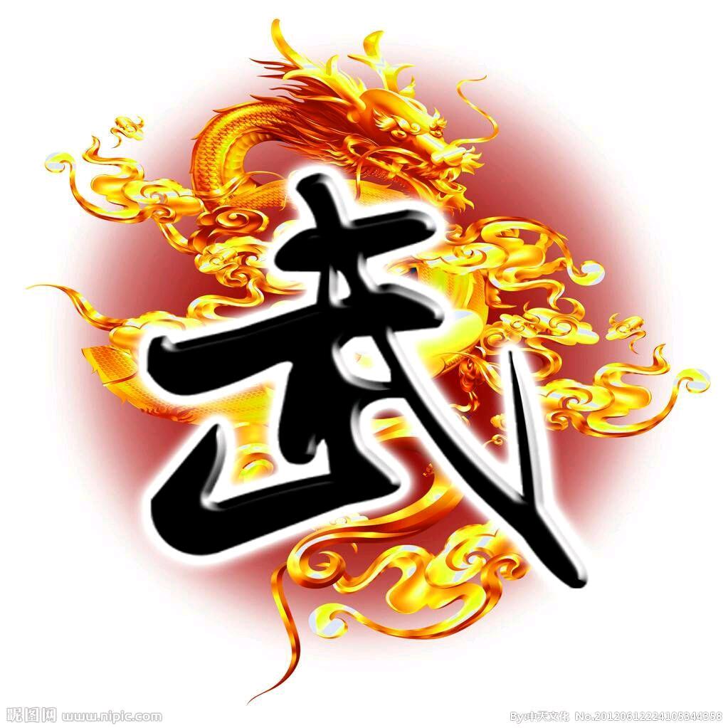 武术之王