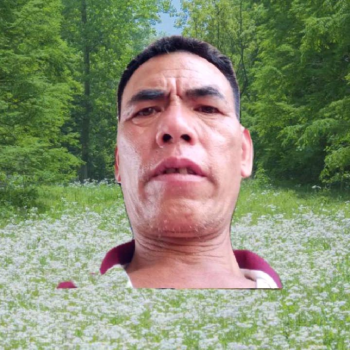 完美的生活