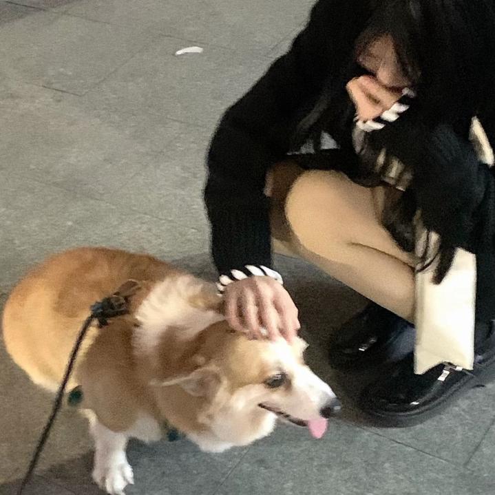 小茄子