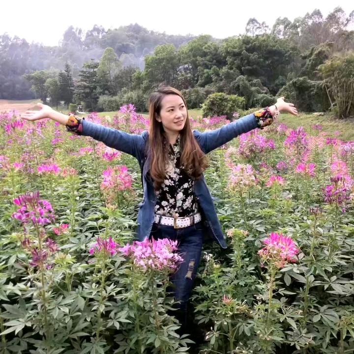 用户7935241994491叶子