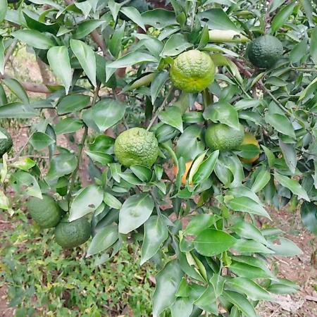 命由天定.缘在凡间