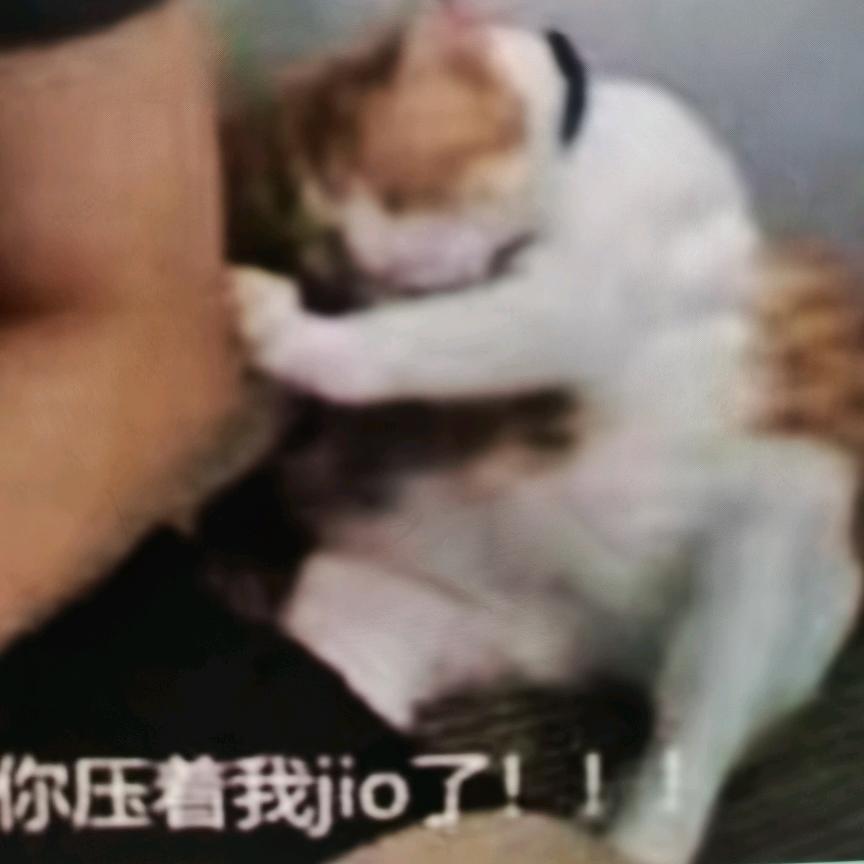 乔哩奈奈
