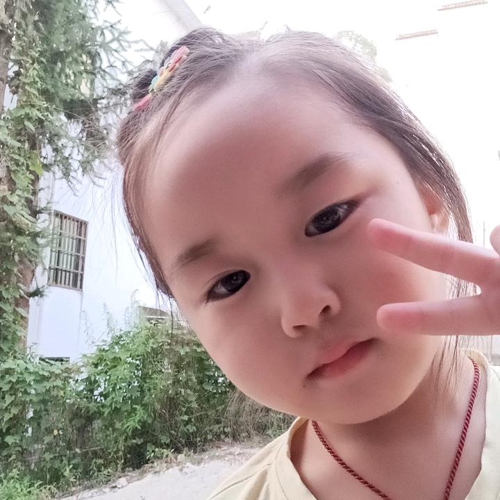 茶叶加工