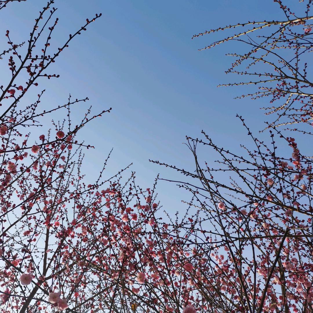小月吖🍃