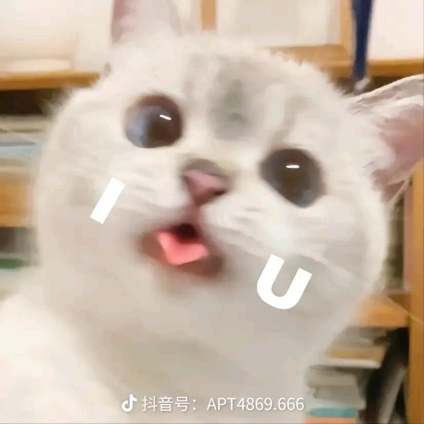 王者皮肤