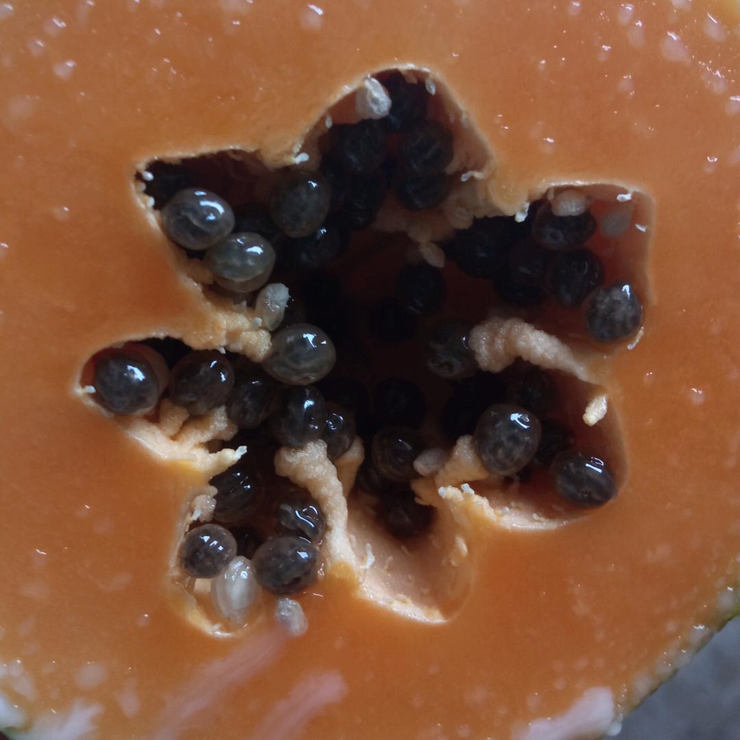 贵州妹子  (停播)