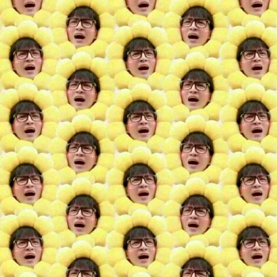 当归呐