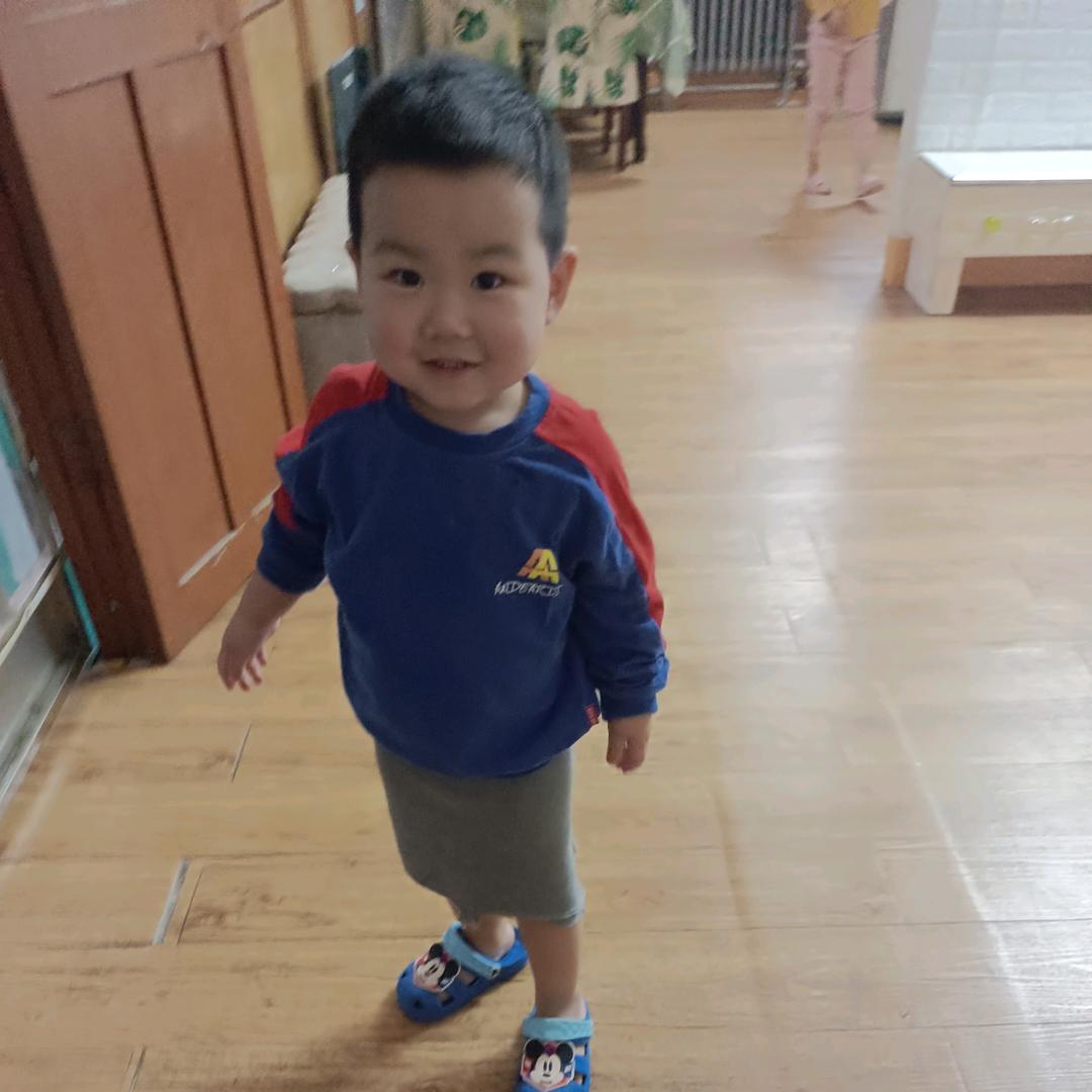 小杨崽