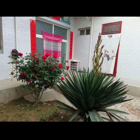 人生的道路开满鲜花