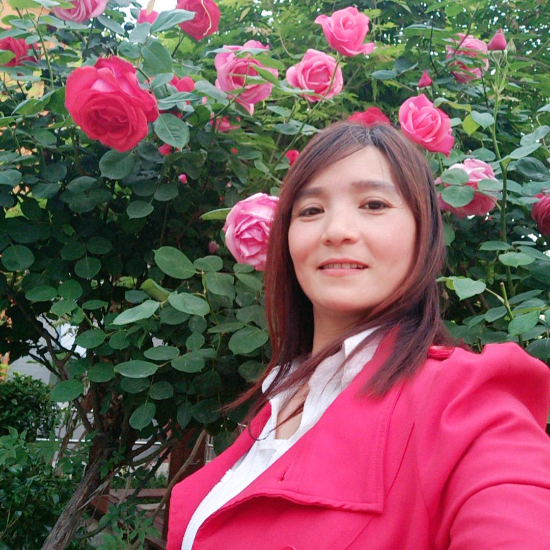 Ty雪莲心