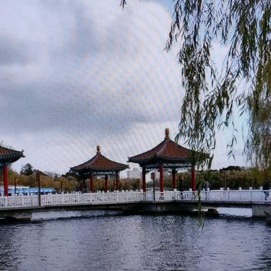 隨  缘