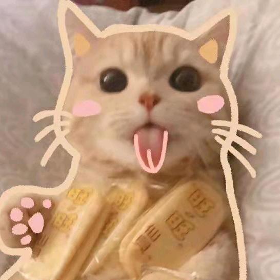 夏婷