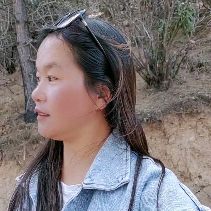 叶子