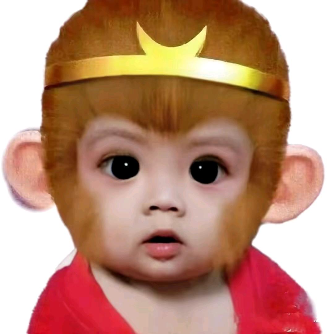 依剑听雨忆往昔