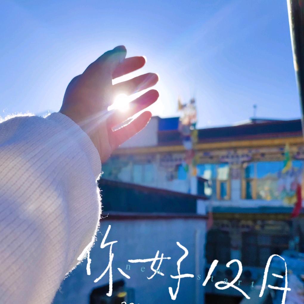 阿姐❤️橱窗好物