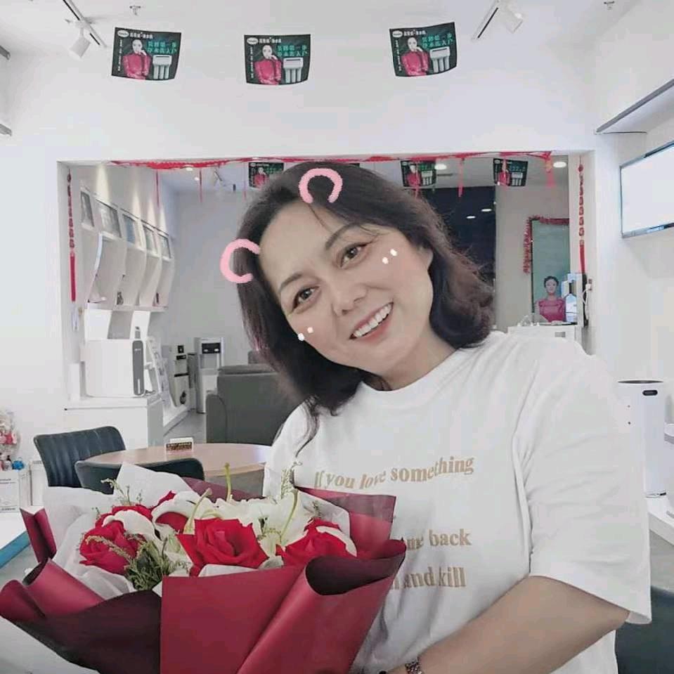 美的家电燕子，