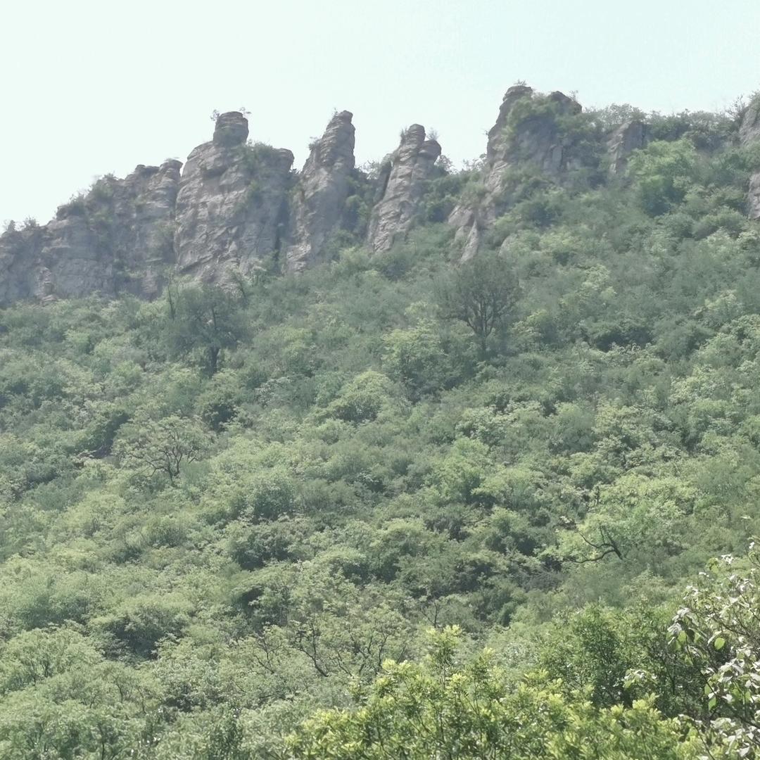 王伟