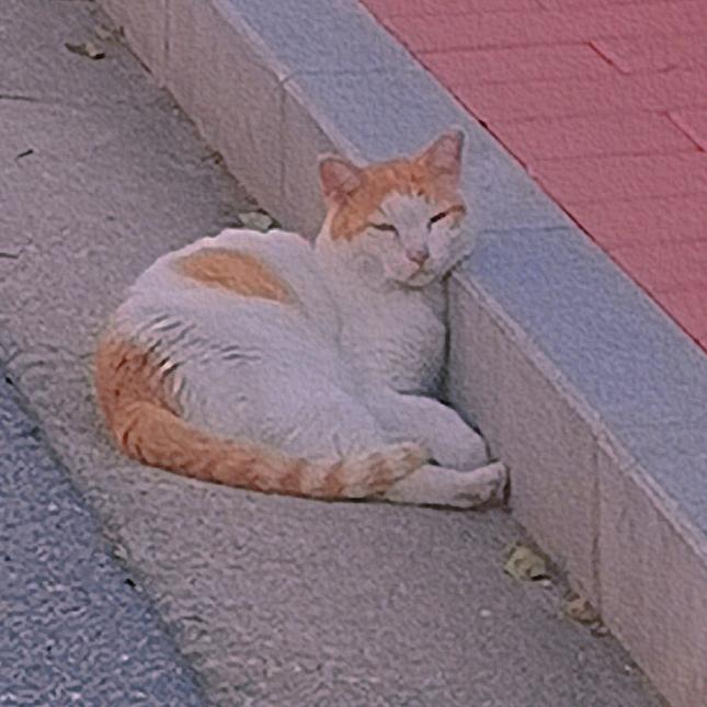早点 sleep