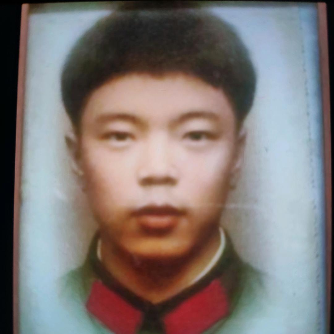 常青树