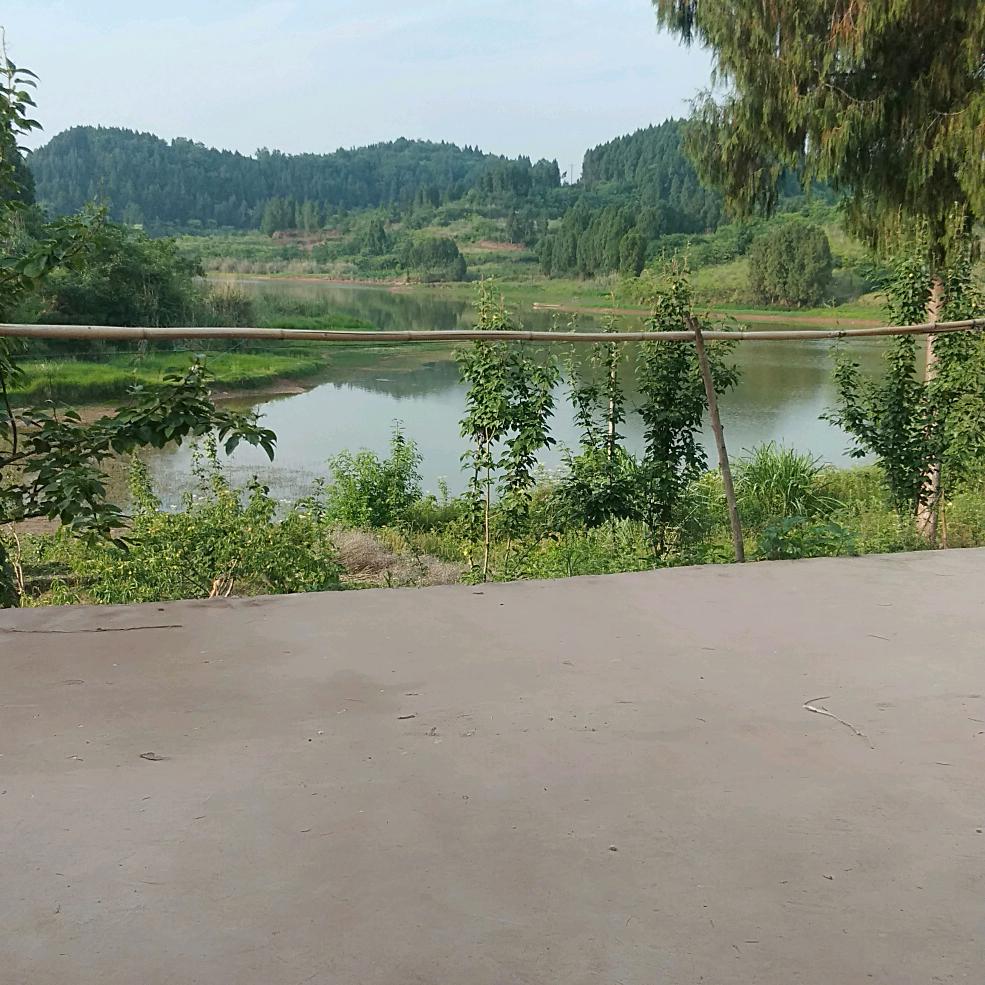 永远都是我