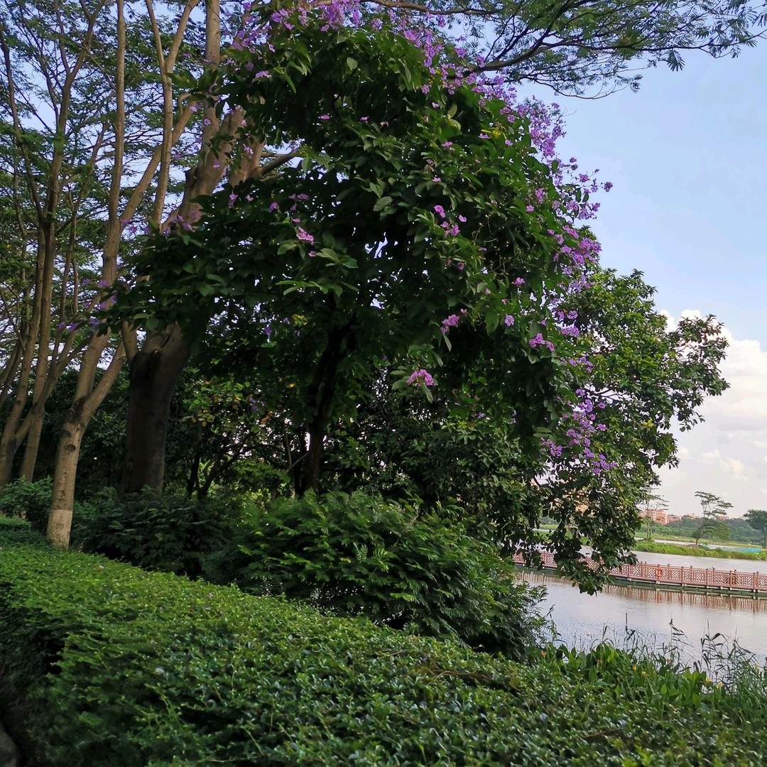 farewell （深情）表哥