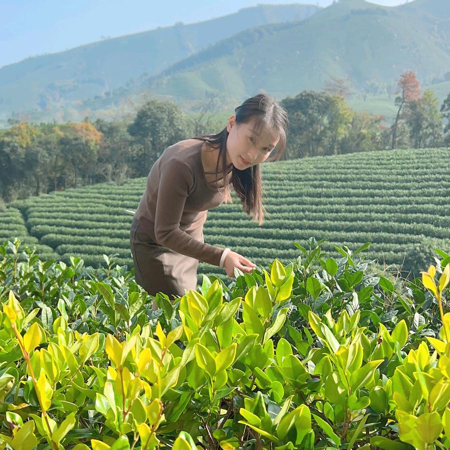 阜阳临沂商城卓越杯业-茶业