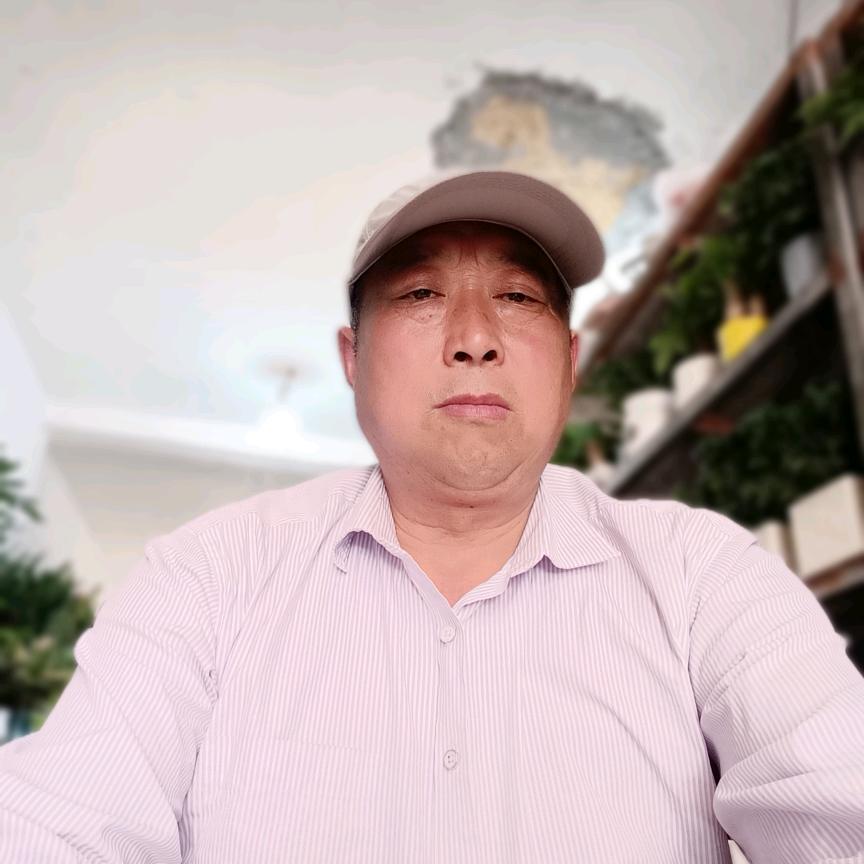 玉兰花卉花与生活