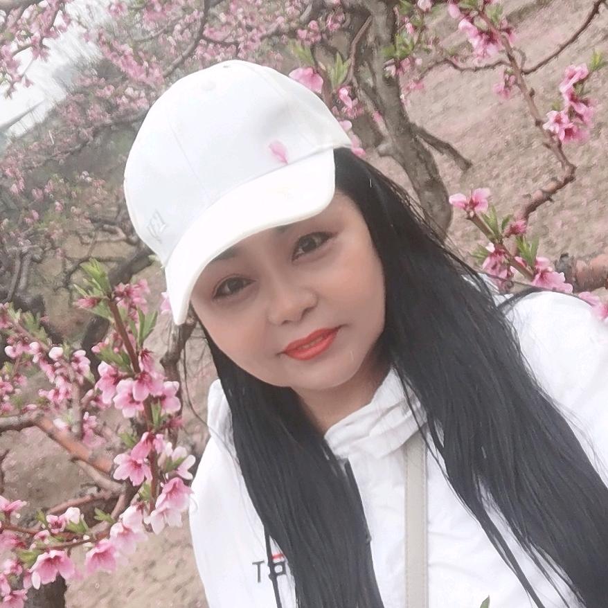 雨后的叶子