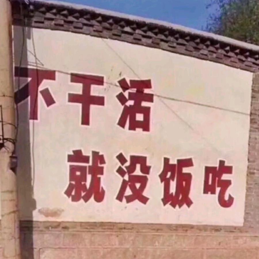 扯蛋人生