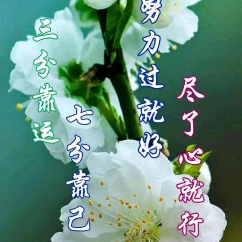 随缘